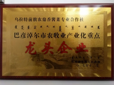 巴彦淖尔市农牧业产业化重点龙头企业